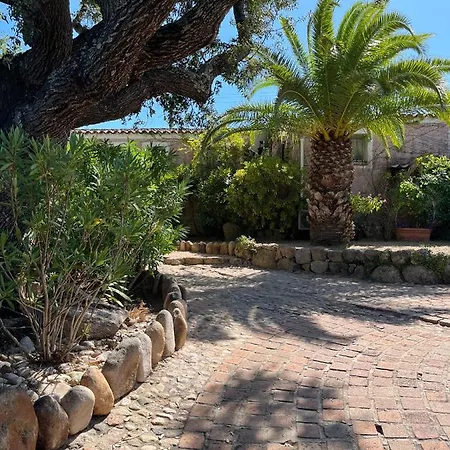 Storia Di Blue * Porto-Vecchio (Corsica)